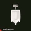 Mẫu Bồn Tiểu Nam Giá Rẻ HC T05 CT-1089