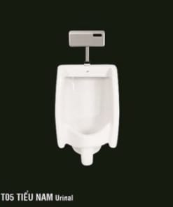 Mẫu Bồn Tiểu Nam Giá Rẻ HC T05 CT-1089